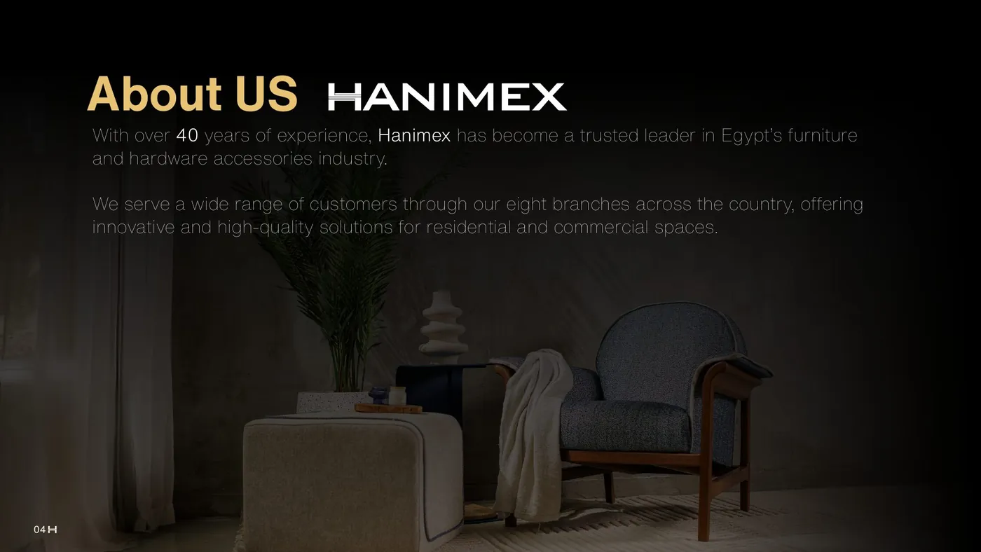 Hanimex company profile — about Hanimex